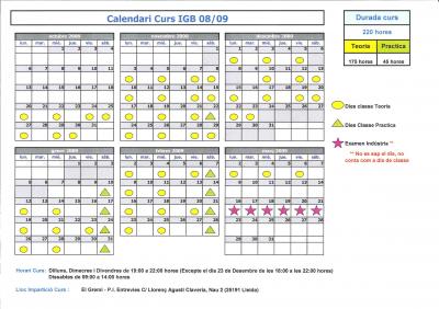 CURS DE GAS IG B 08/09